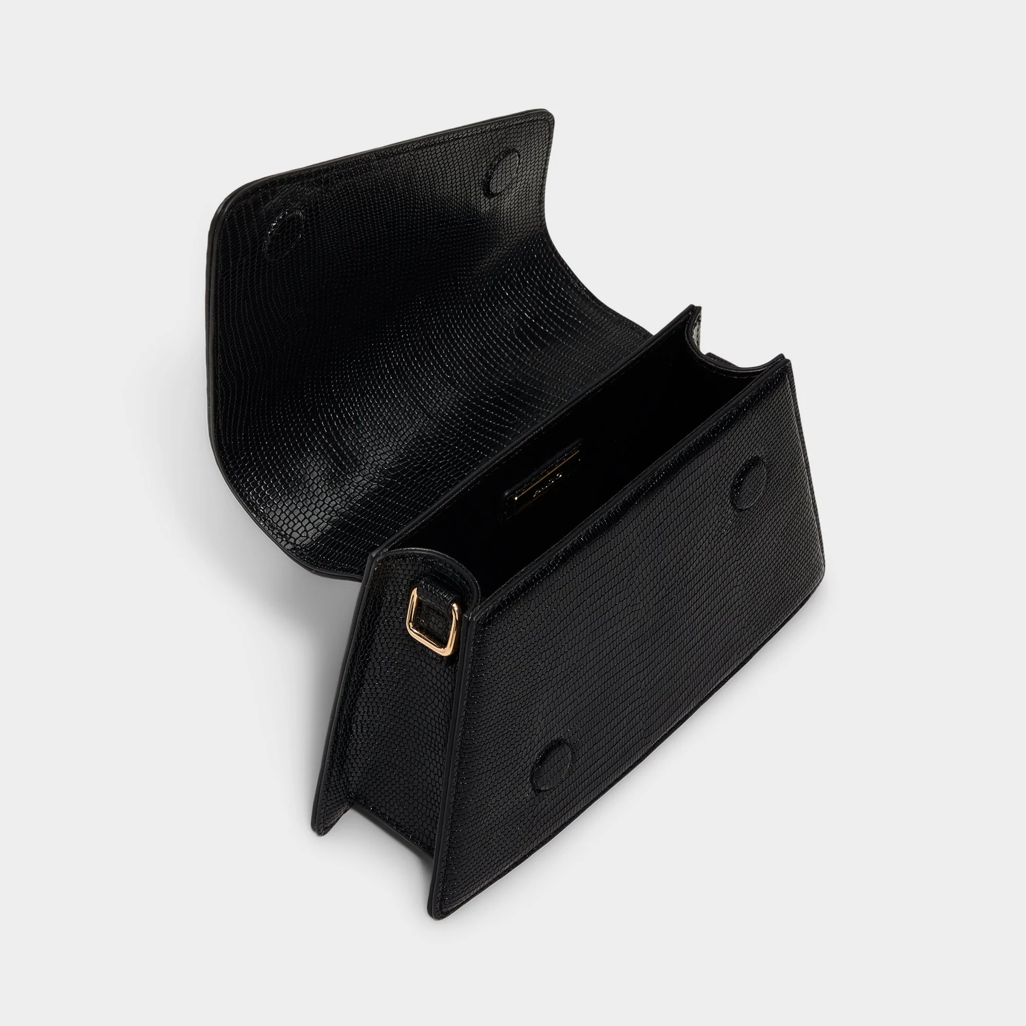 Aellaax - Image 3