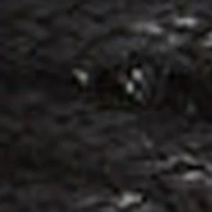 Pico - Image 4